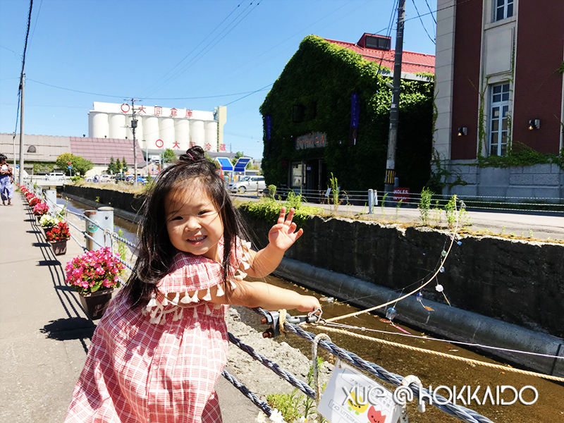 北海道自助遊攻略