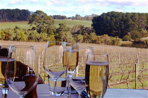 11:00 前往著名玛格丽特河酒庄品酒和午餐.