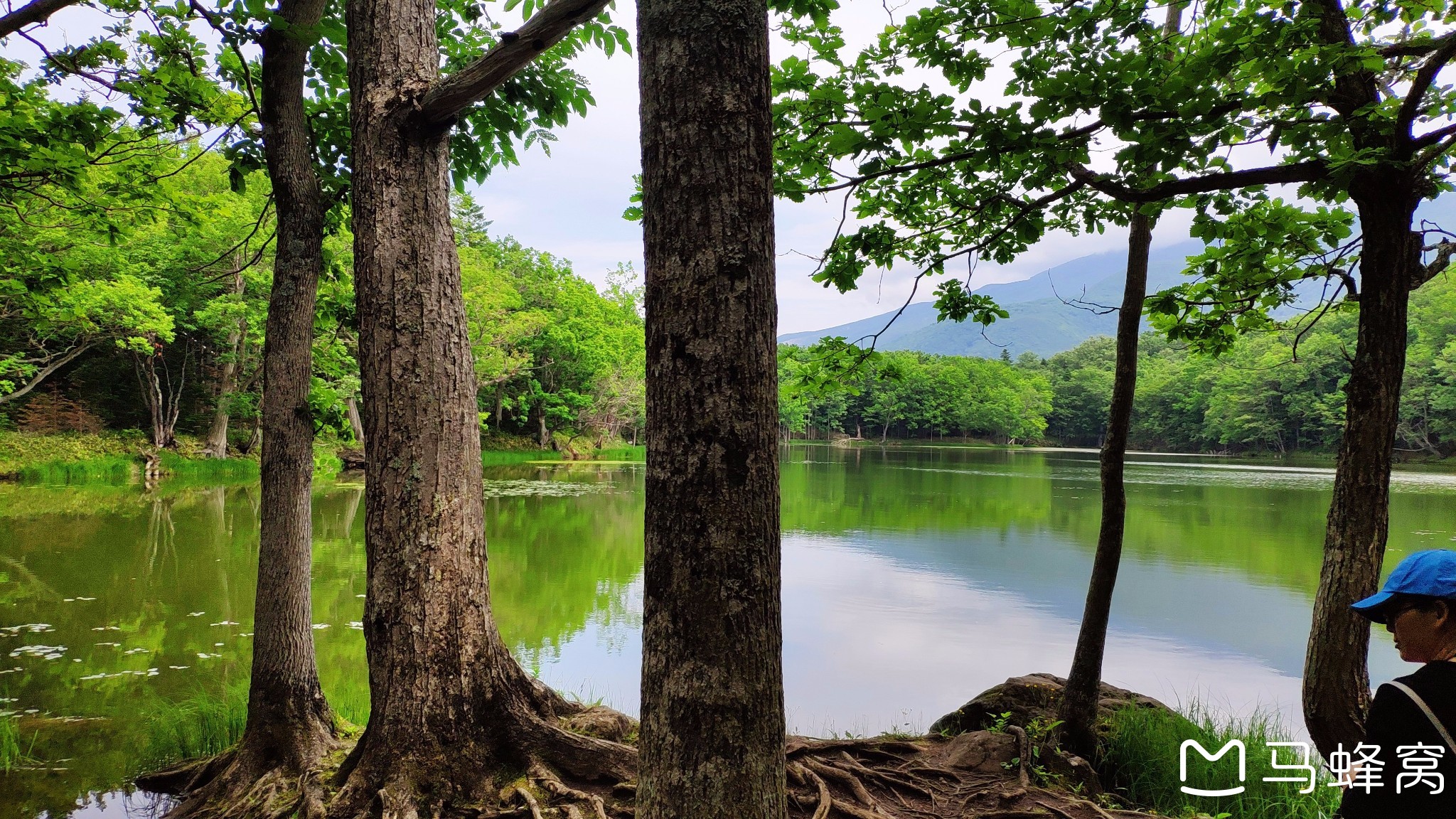 北海道自助遊攻略