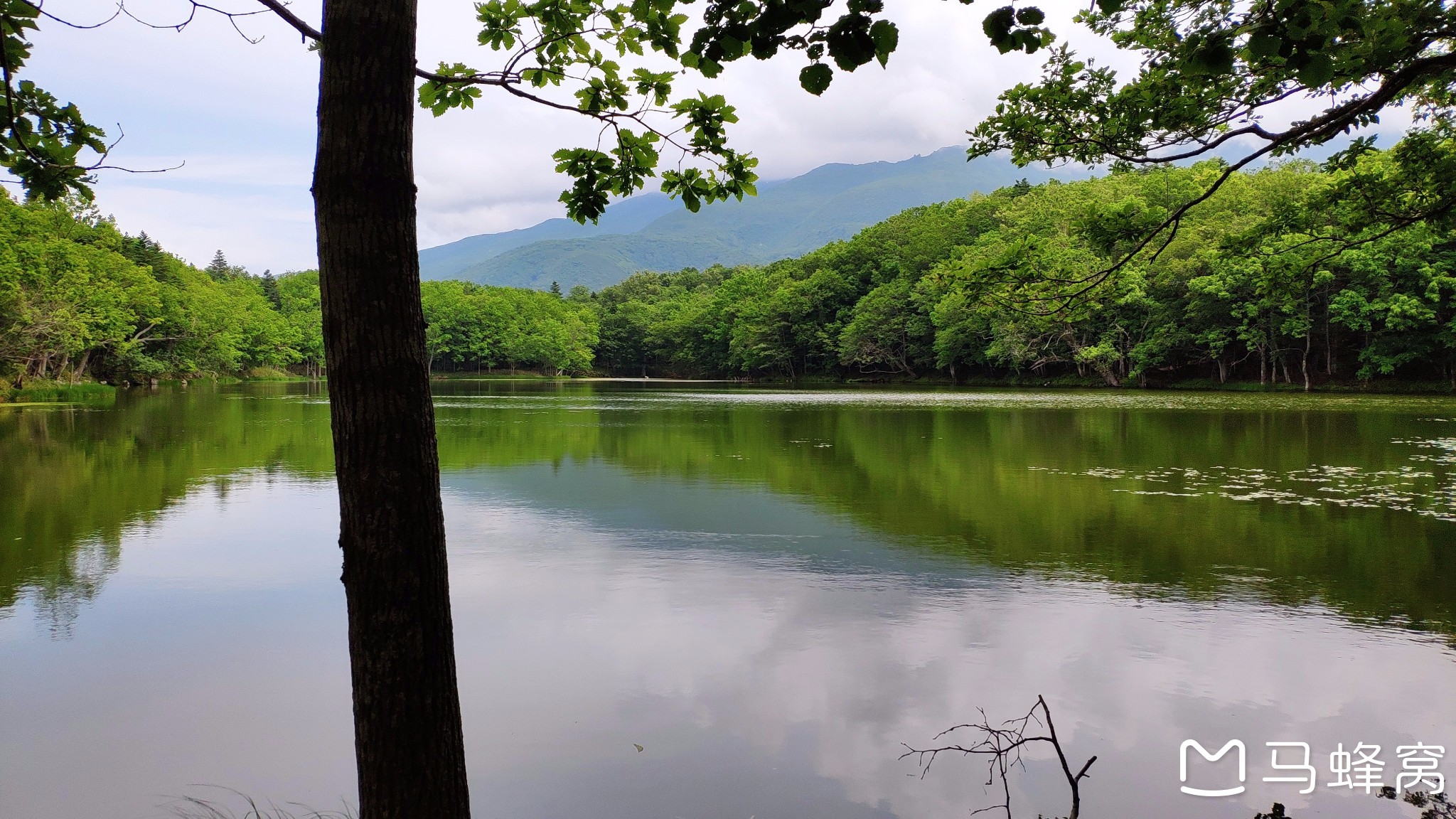 北海道自助遊攻略