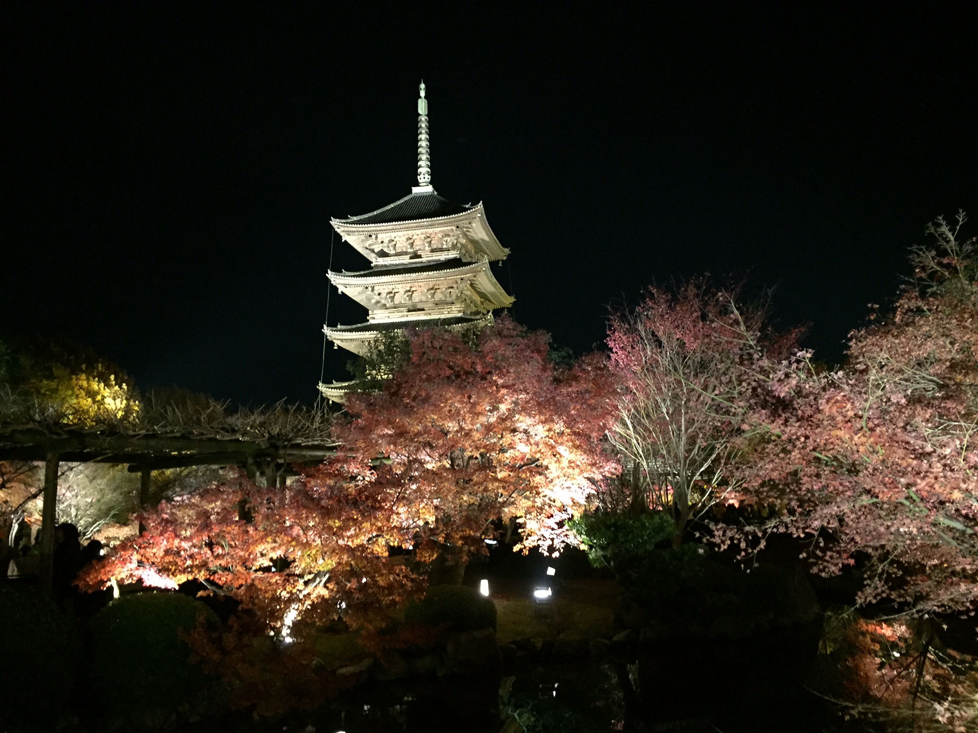 京都自助遊攻略