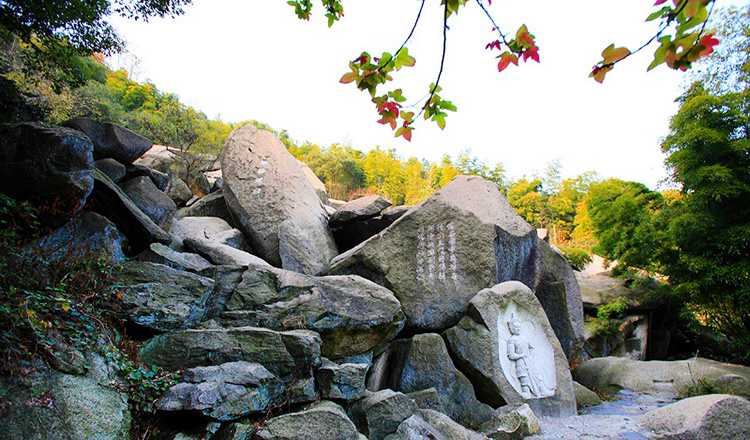 南昌 溪霞怪石岭成人门票(凭验证码换取门票入园)