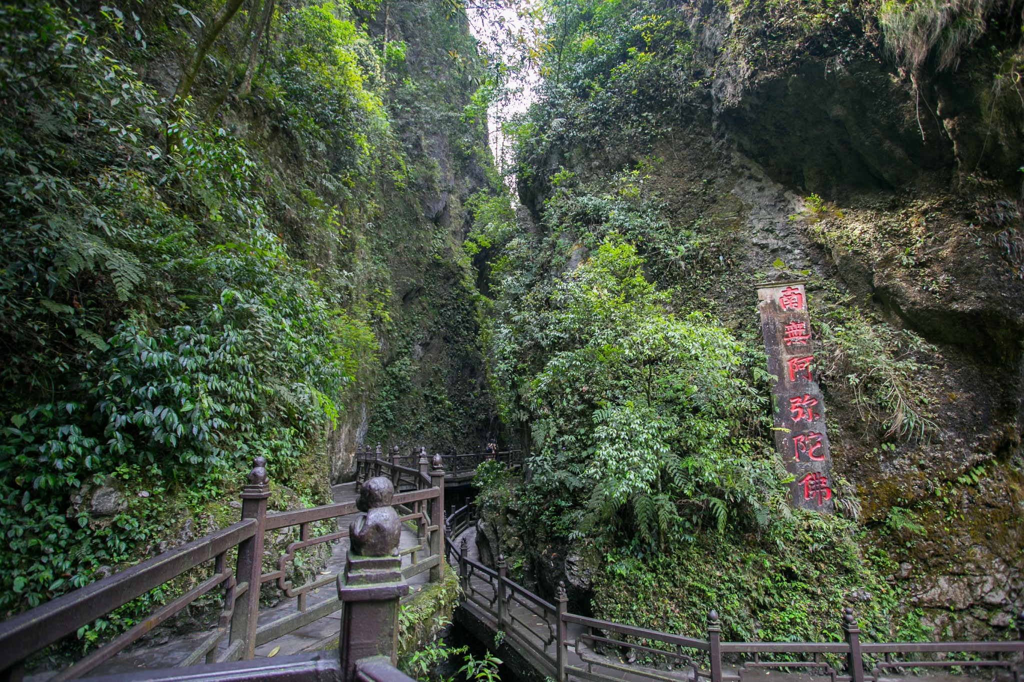 初春峨眉,人间四月天_峨眉山游记_途牛