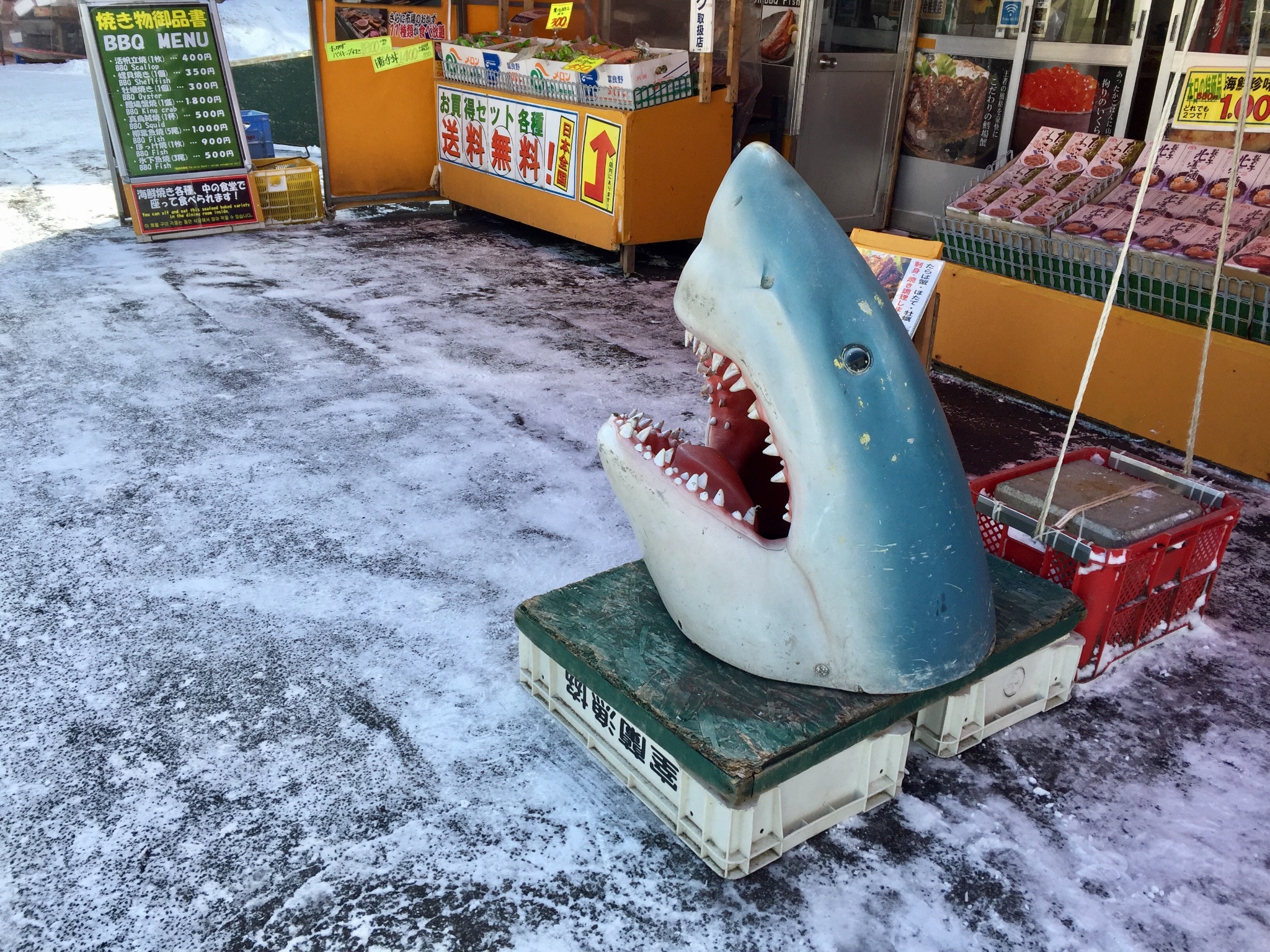 北海道自助遊攻略