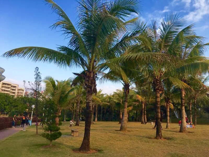 龙岗区教育局 综合教育 第6张