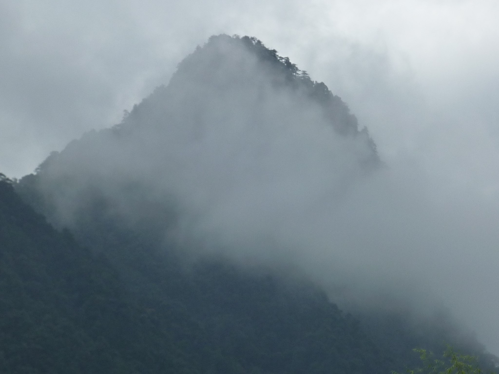 三清山自助遊攻略