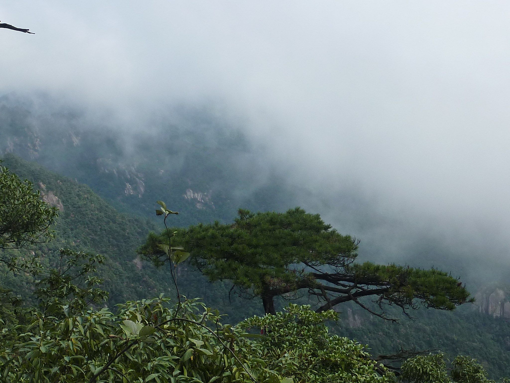 三清山自助遊攻略