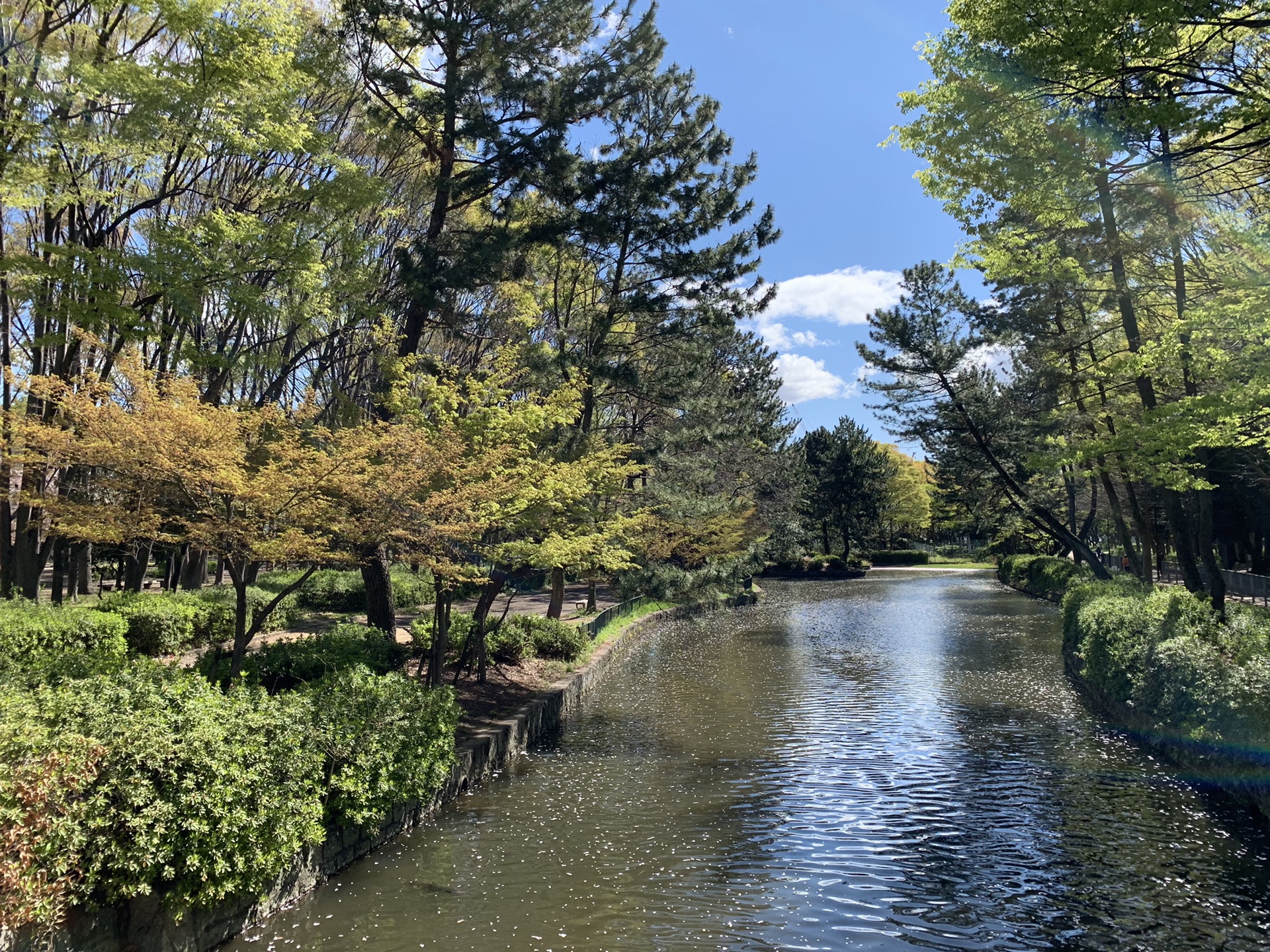 名古屋自助遊攻略