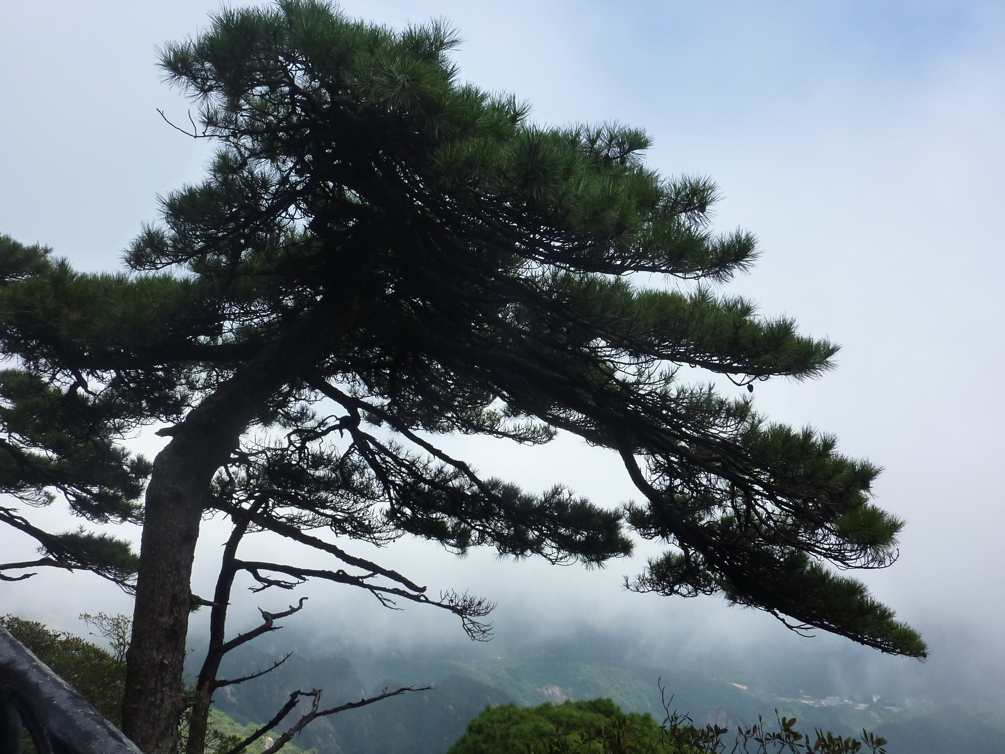 三清山自助遊攻略