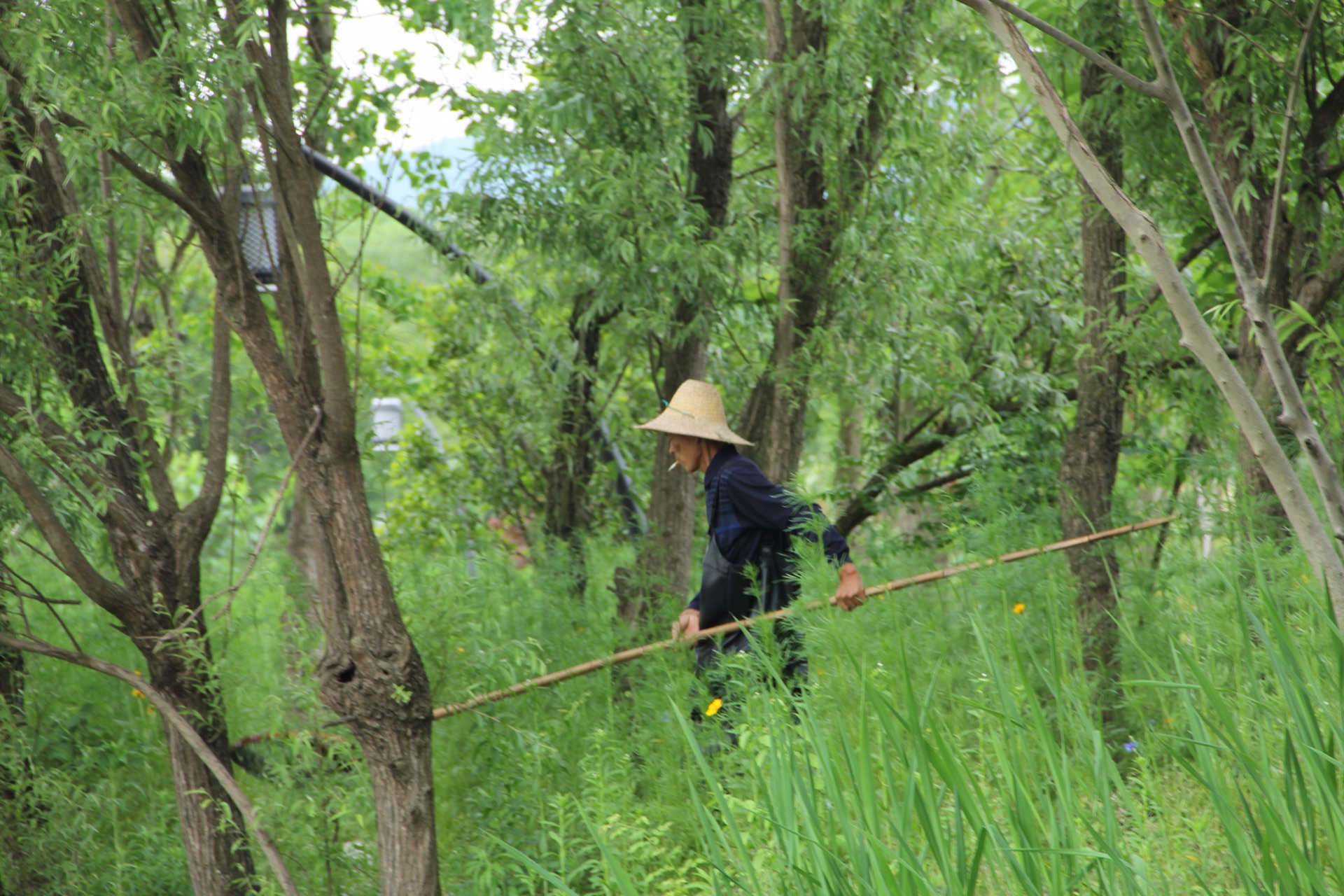 烏鎮自助遊攻略