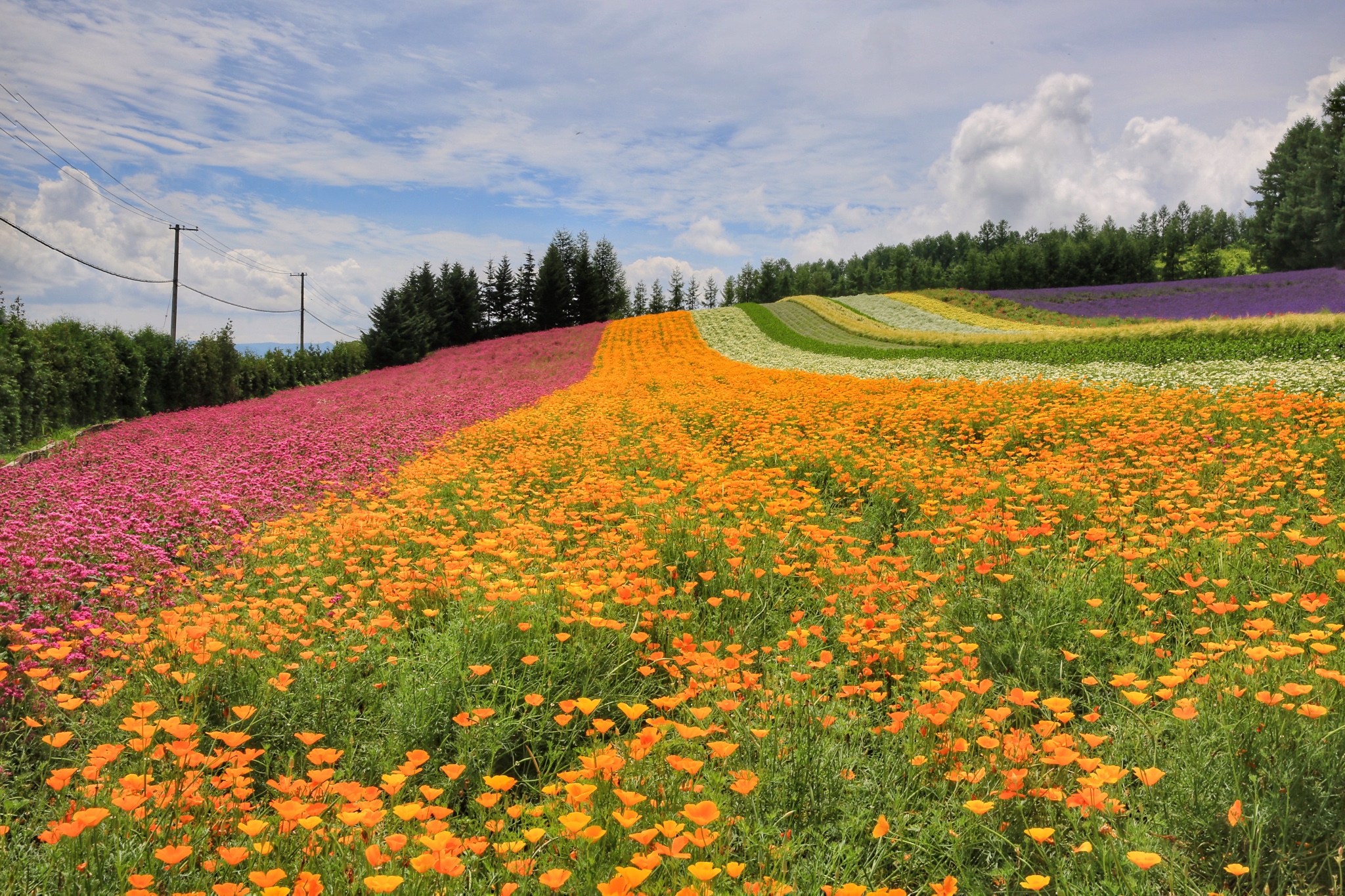 北海道自助遊攻略