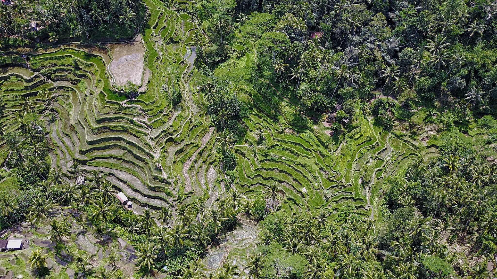 巴釐島自助遊攻略