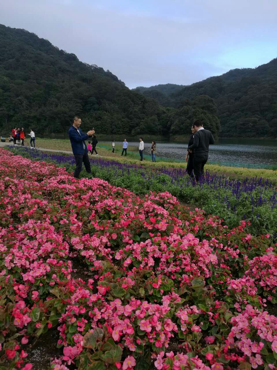 从化大岭山图片