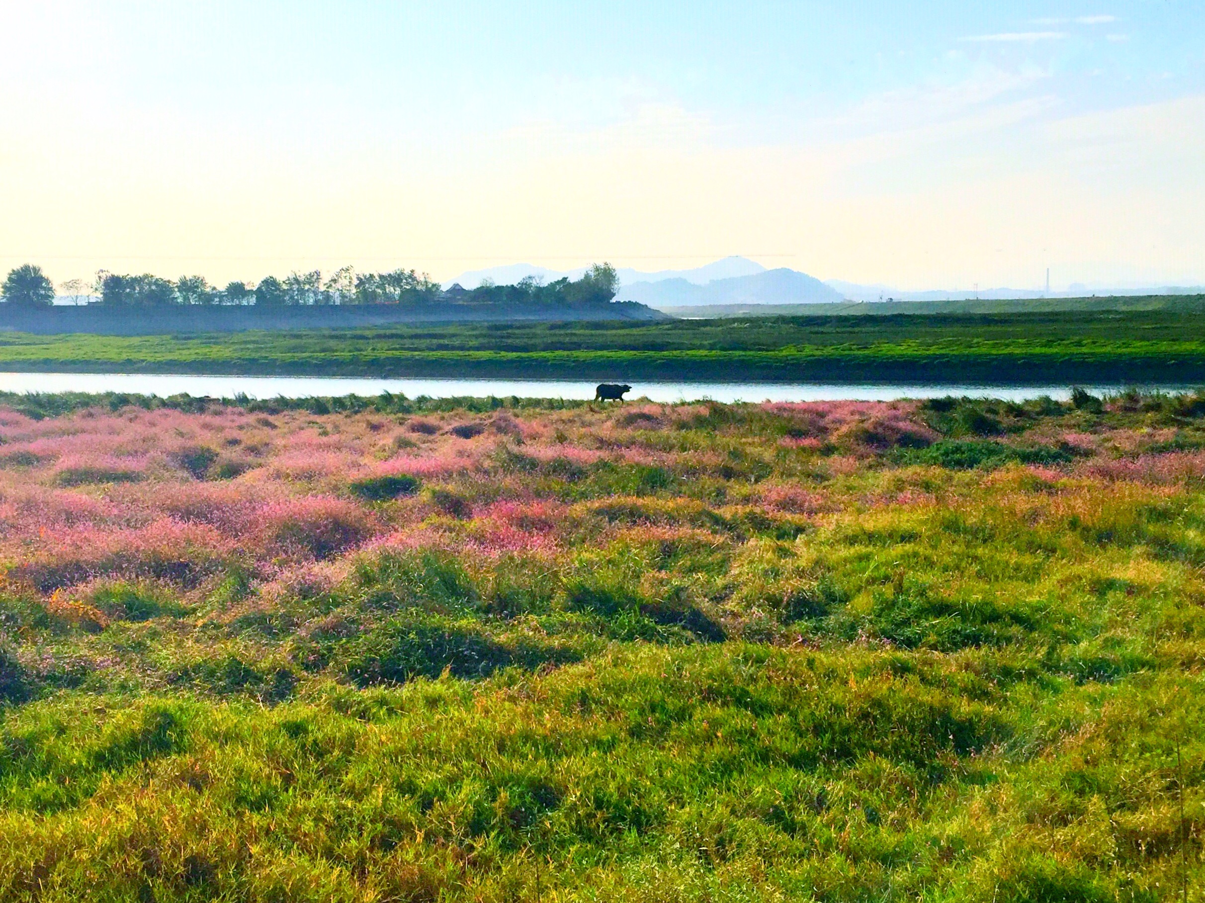 台南到共青城市旅游
