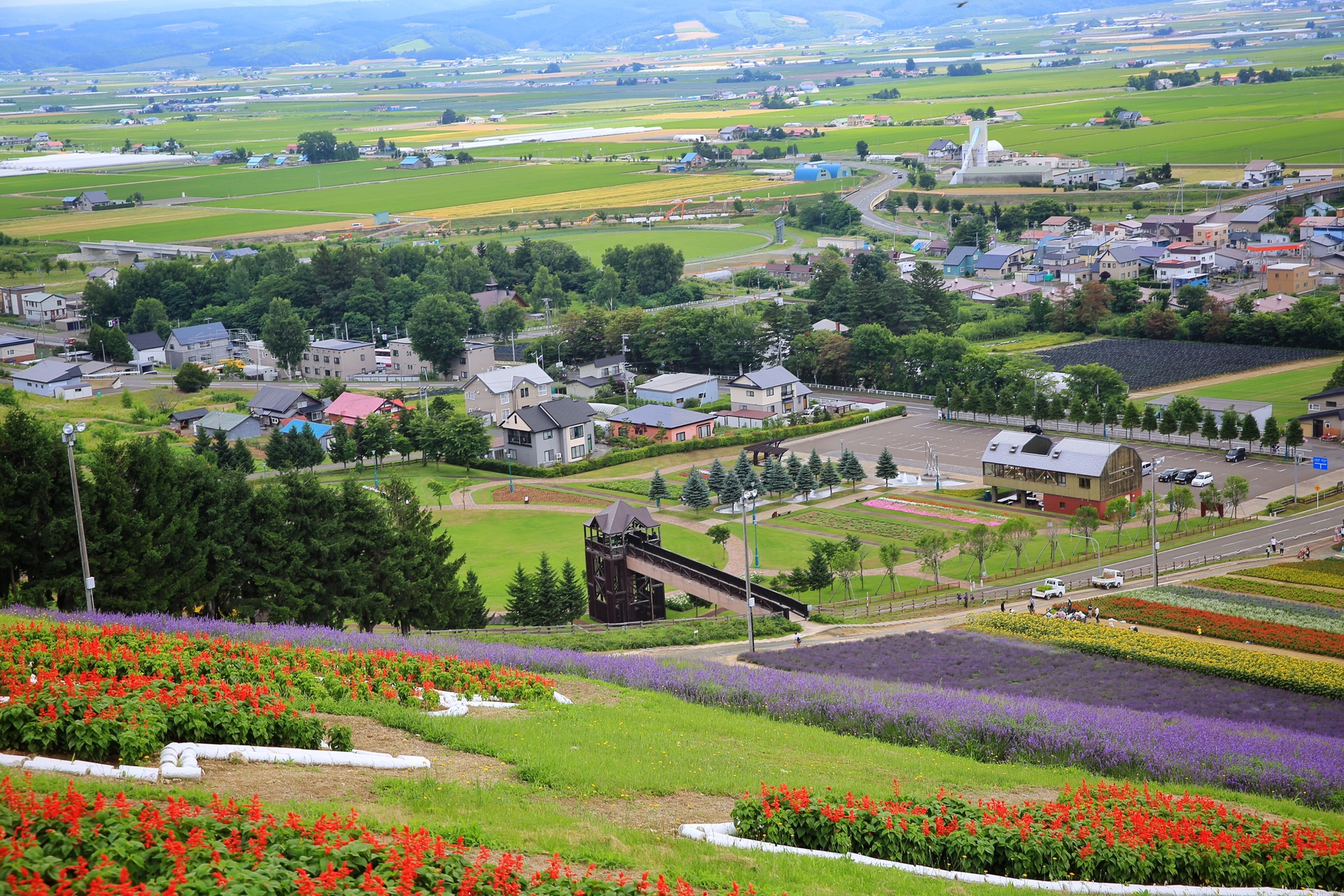 北海道自助遊攻略