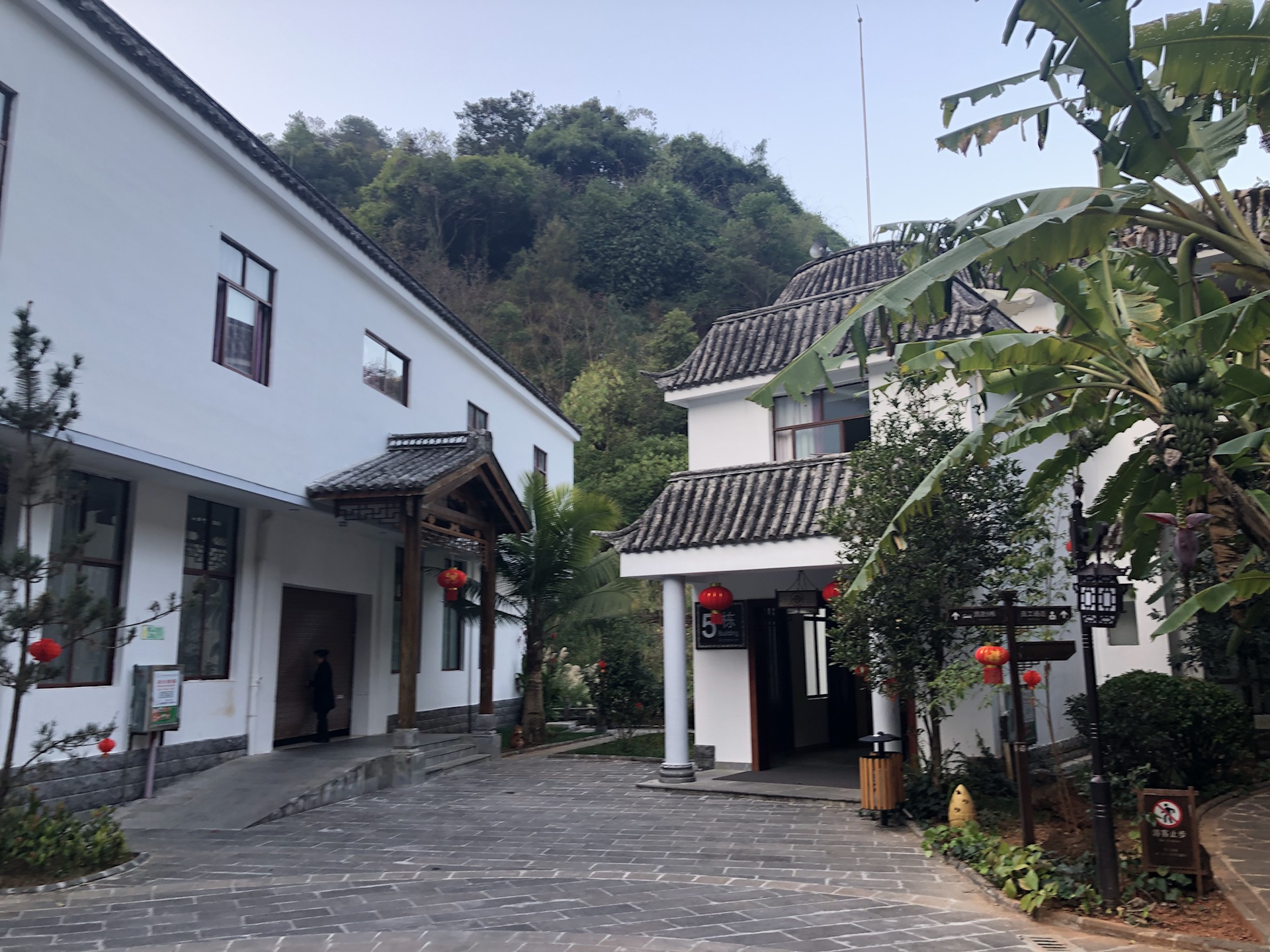 云南有多少人口2019_云南广南县人口多少(2)