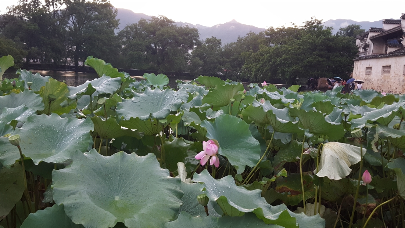 宏村自助遊攻略