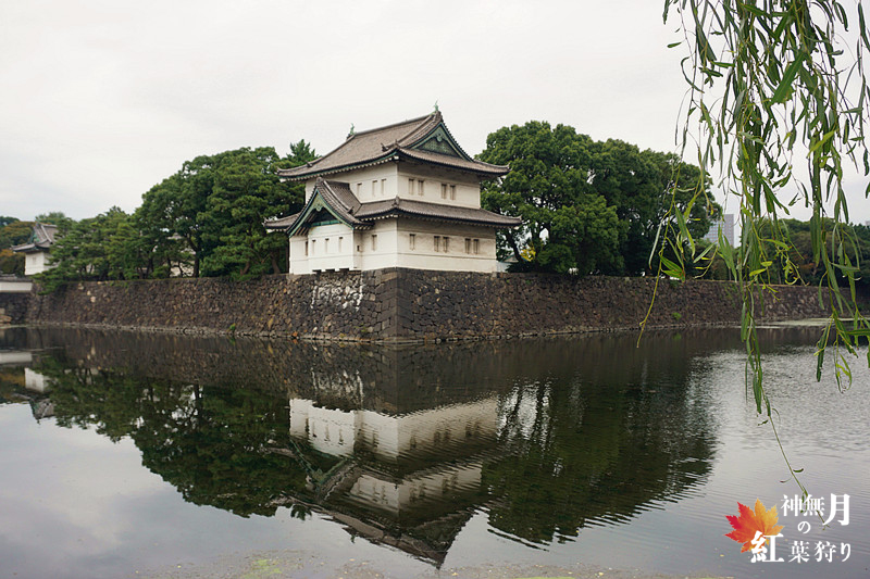 北海道自助遊攻略