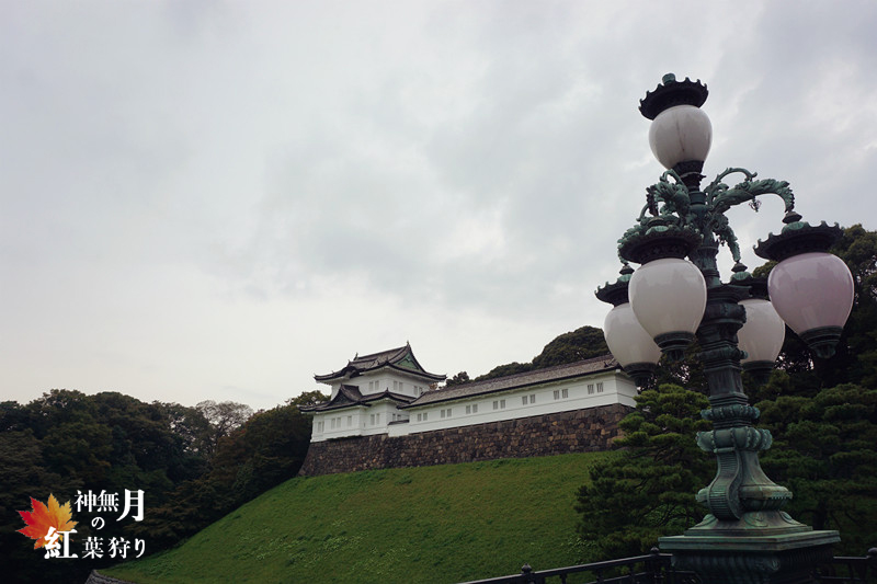 北海道自助遊攻略