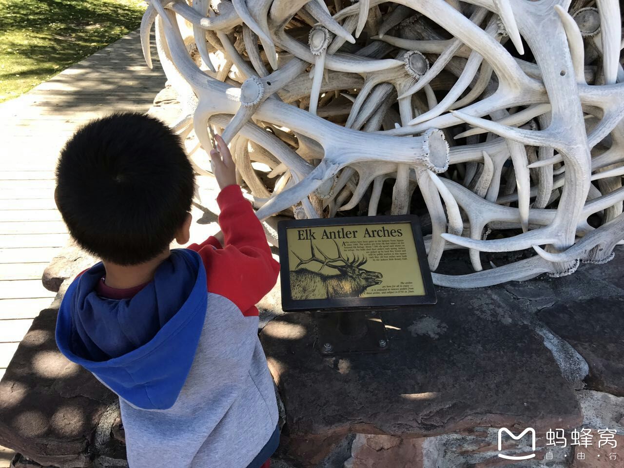 黃石國家公園自助遊攻略