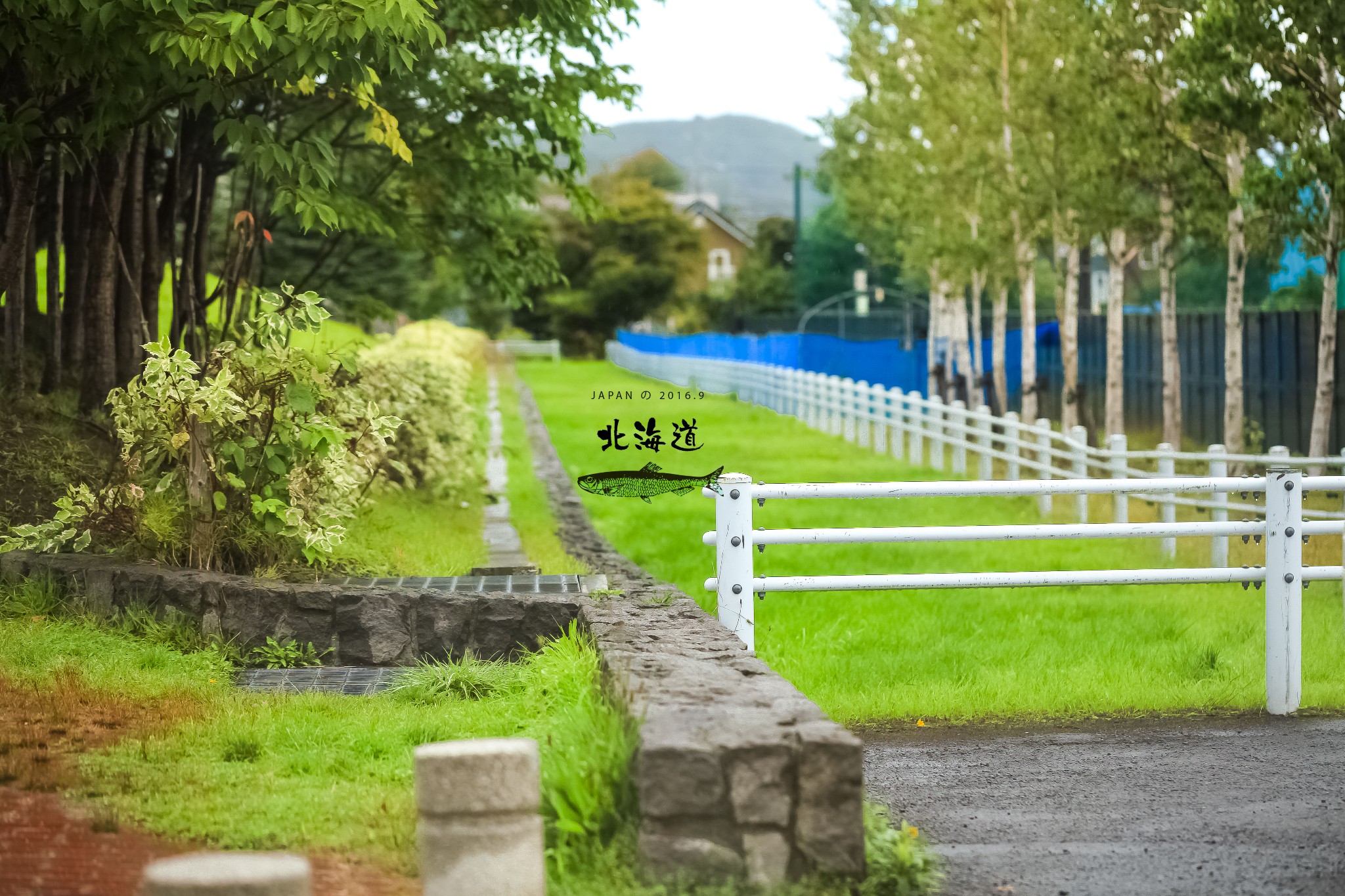 北海道自助遊攻略