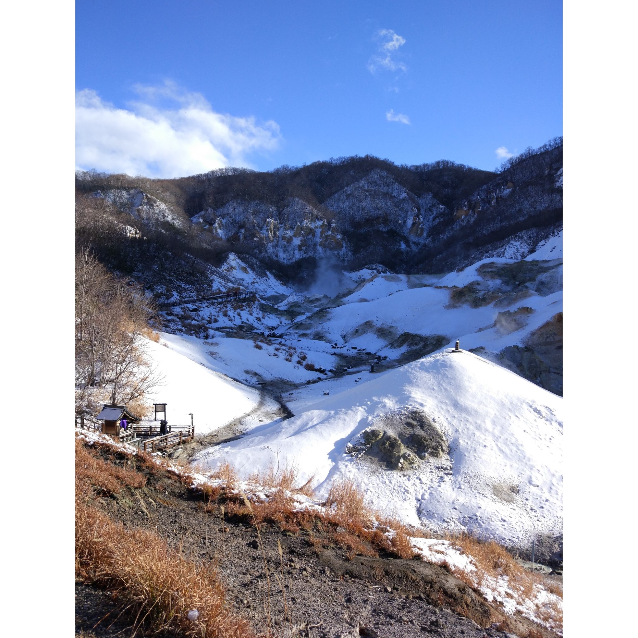 札幌自助遊攻略