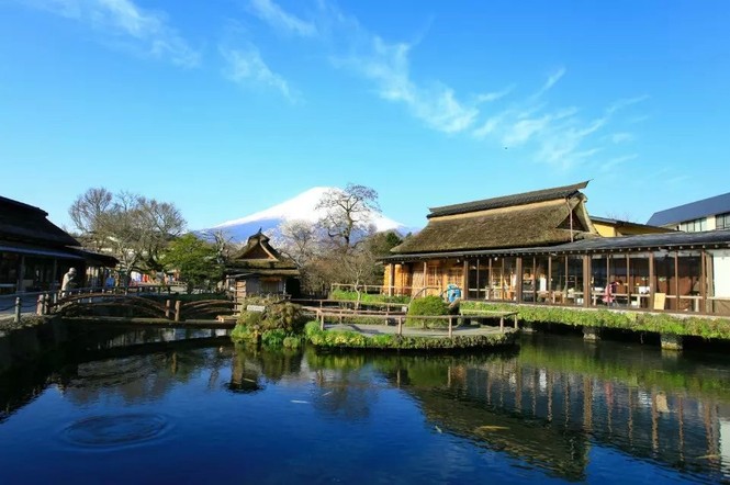 千人選擇富士山中文包車遊河口湖新倉山淺間公園大石公園薰衣草忍野八