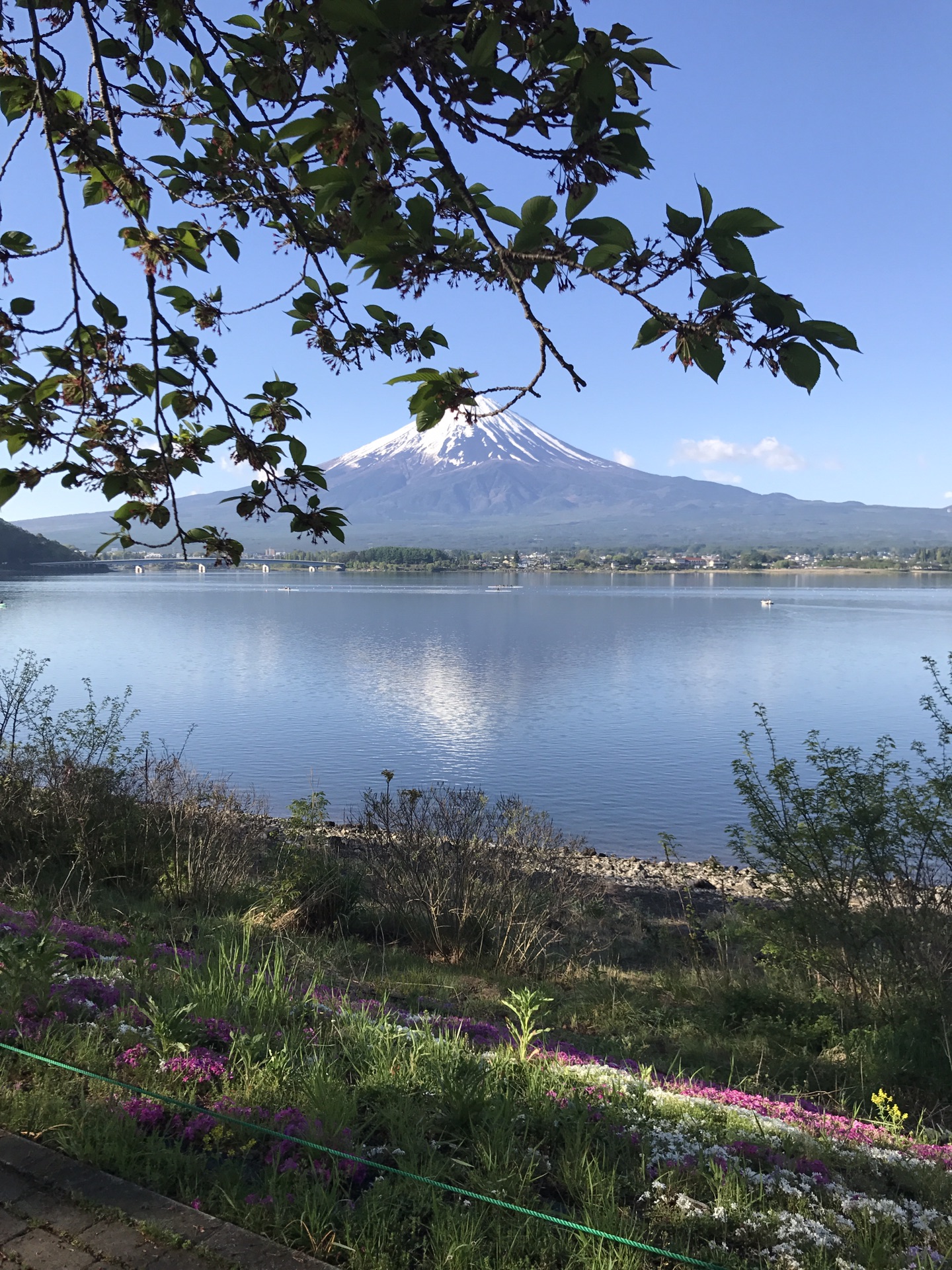 富士山自助遊攻略