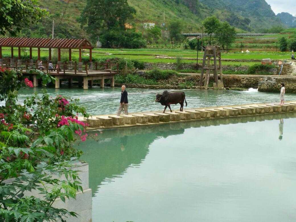 巴馬熱門遊記,巴馬自助遊遊記,巴馬旅遊熱門遊記 - 馬蜂窩