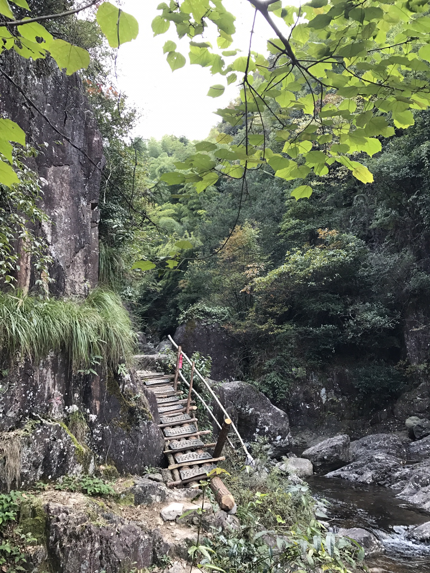 磐安大盘山风景区图片