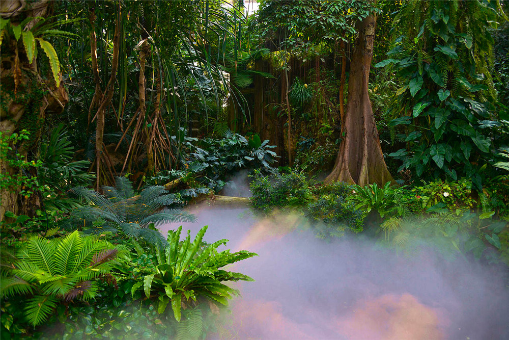 廣州華南植物園門票(出行無憂 無需排隊)