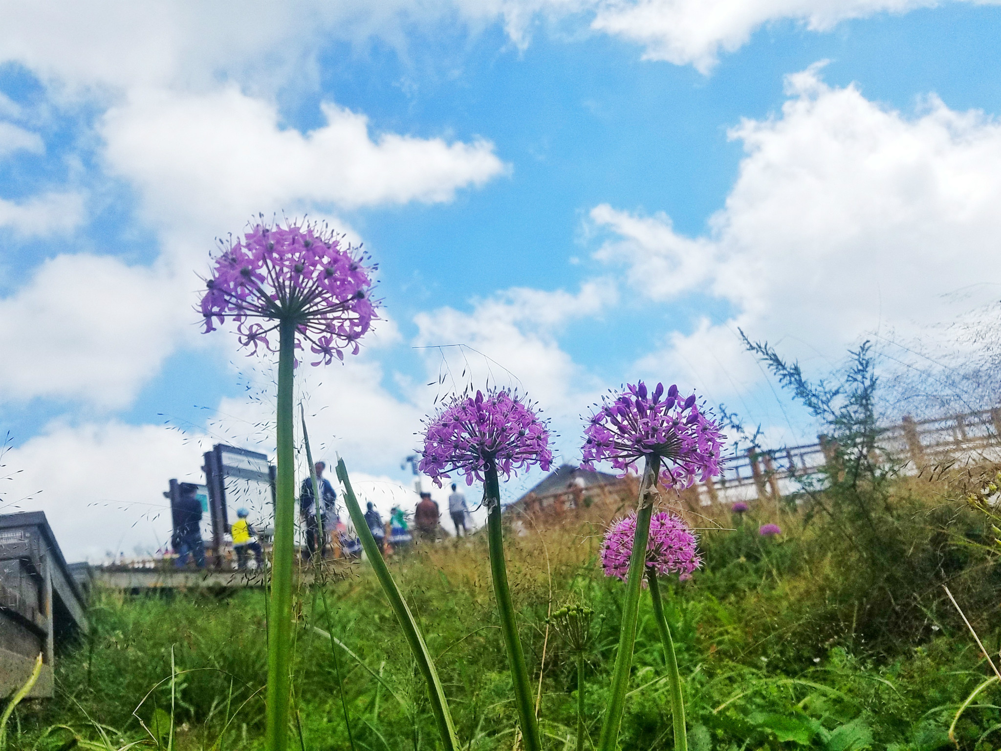 wKgBZ1ne6MyAAnxMAA53_WRKcXs81.jpeg?imageView2%2F2%2Fw%2F680%2Fq%2F90