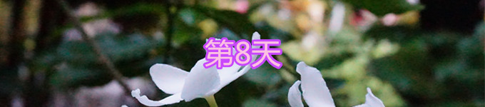 8 8