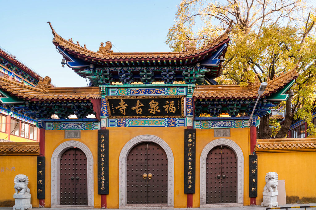 福泉古寺千年古银杏,上海旅游攻略 - 马蜂窝