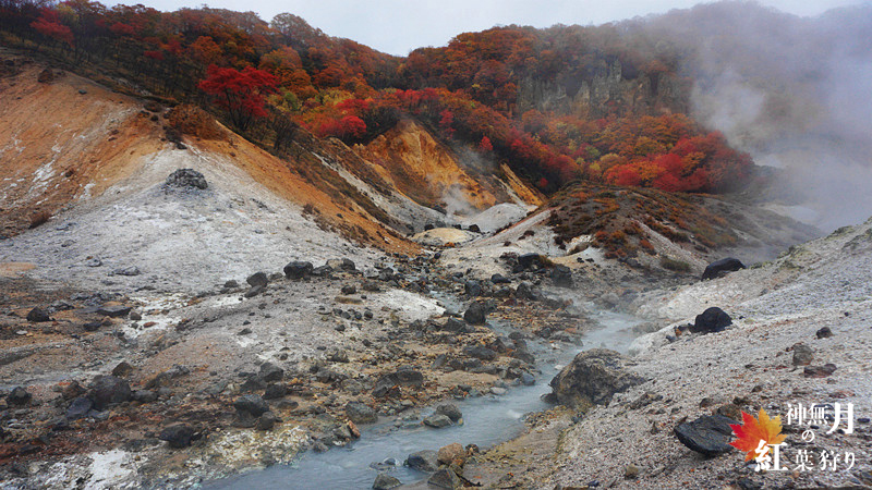 北海道自助遊攻略