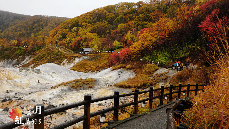 北海道自助遊攻略