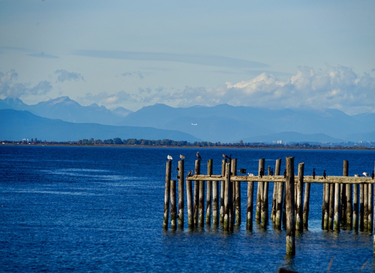 秋日徒步之美国罗伯茨角镇