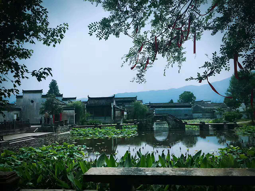 黃山 宏村 齊雲小鎮 謝裕大茶園四日遊(登大美黃山,游水墨宏村,逛道家