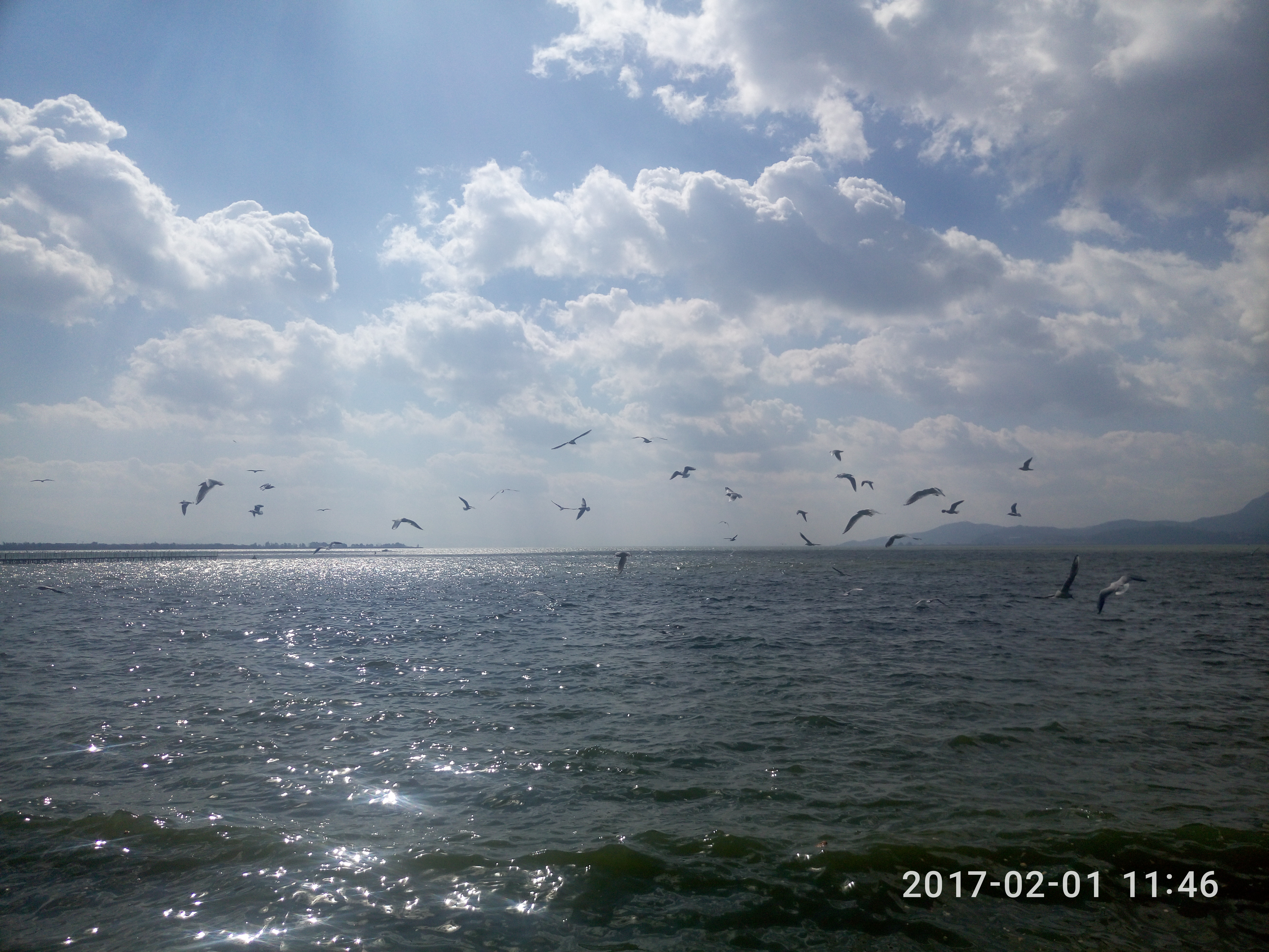 昆明出游攻略,昆明市区景点求推荐