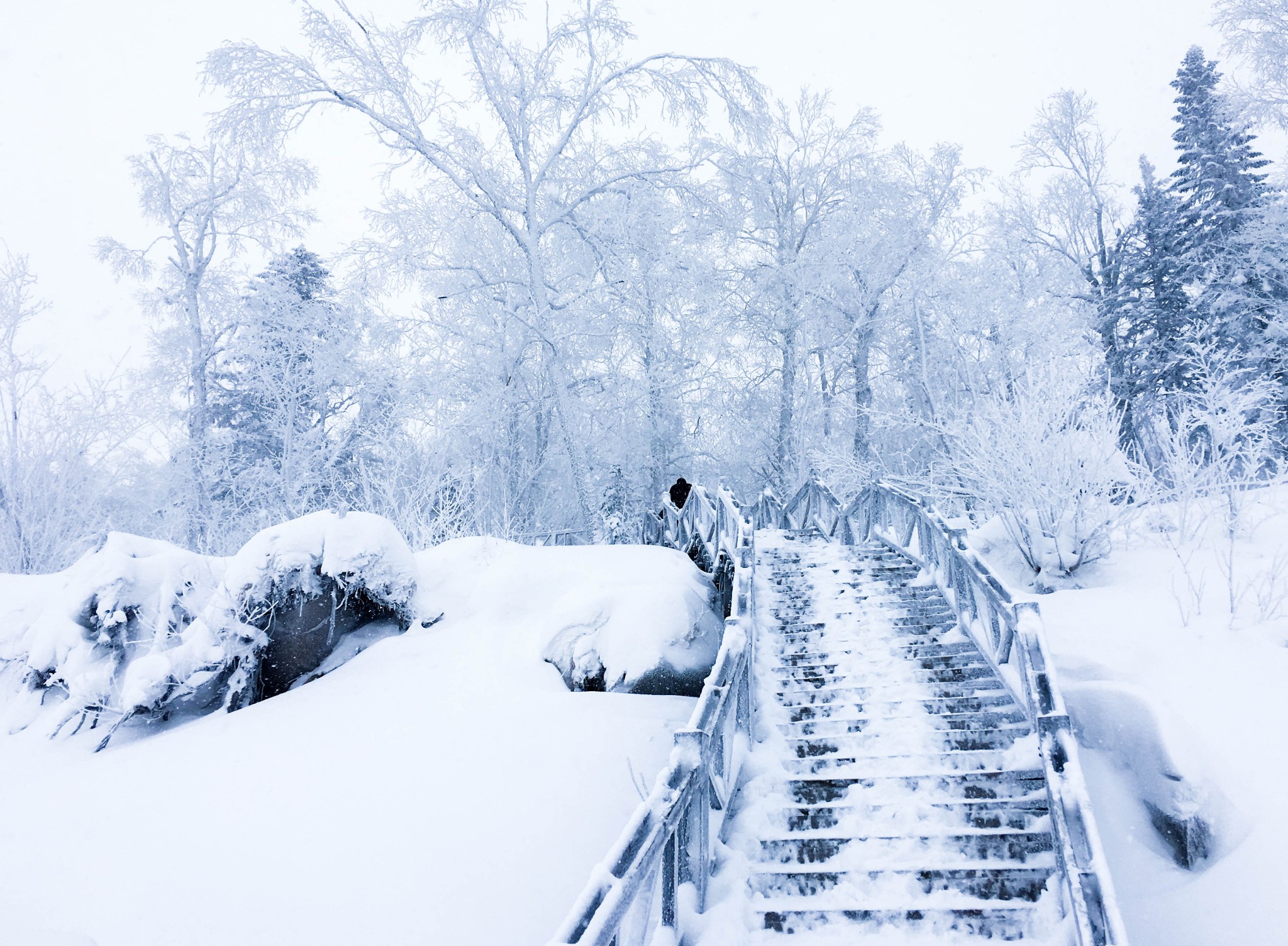 雪鄉自助遊攻略