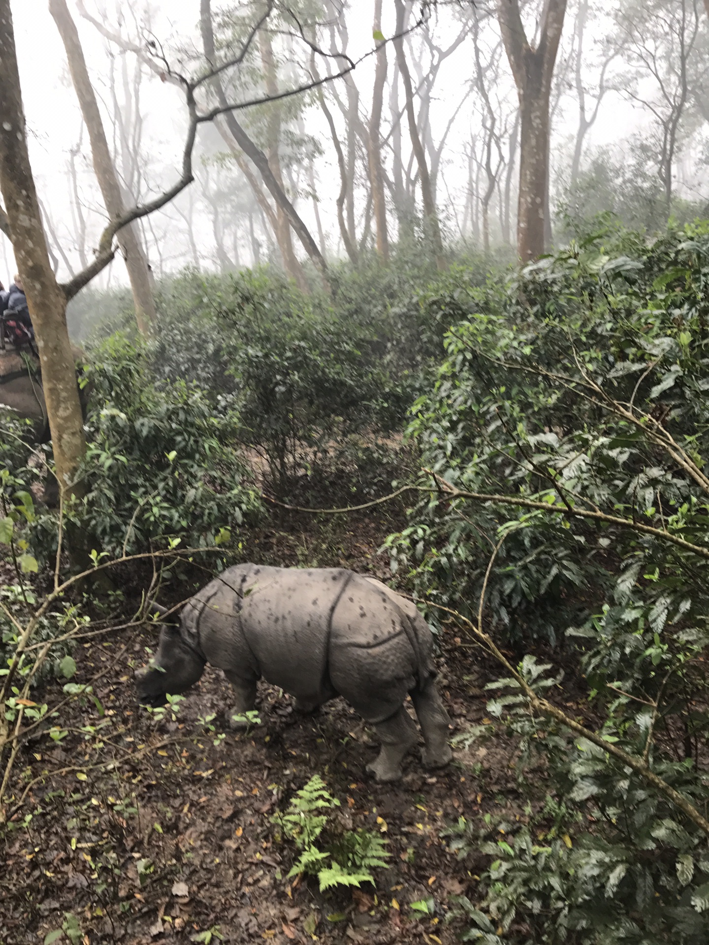 尼泊爾自助遊攻略