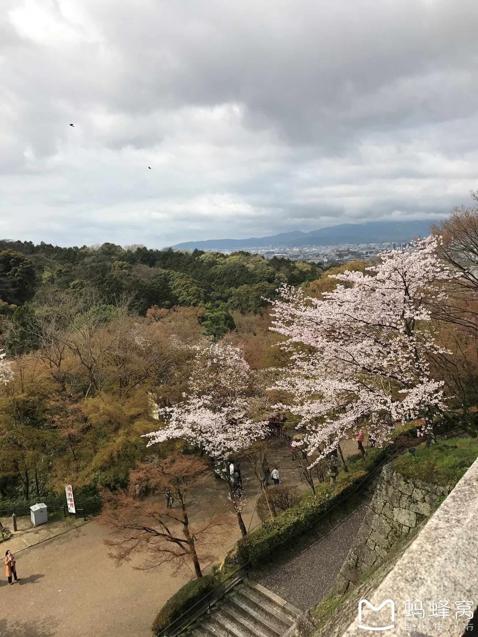 日本自助遊攻略