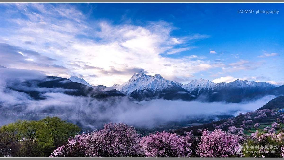 革吉县美食-天水馒头店