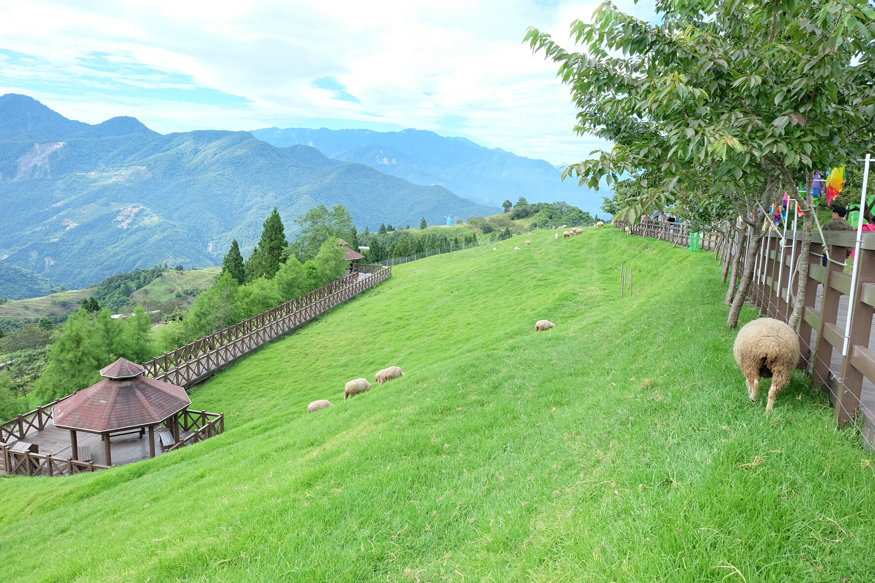 路线举例#台中三日:宫原眼科 南投清境农场 东海大学 大鲁阁新时代