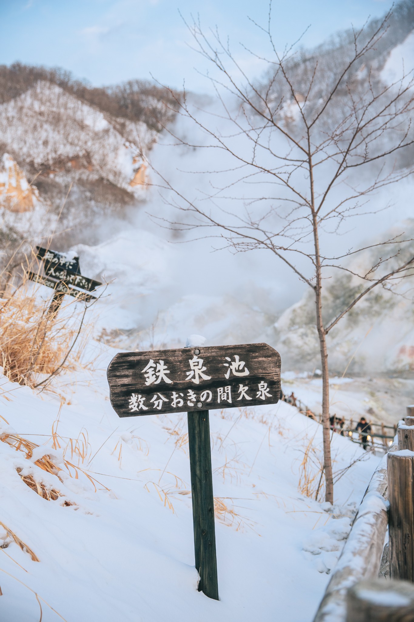 北海道自助遊攻略