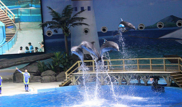 【新年特惠】115起 武汉海昌极地海洋世界门票-萌宠乐园(第二件立减