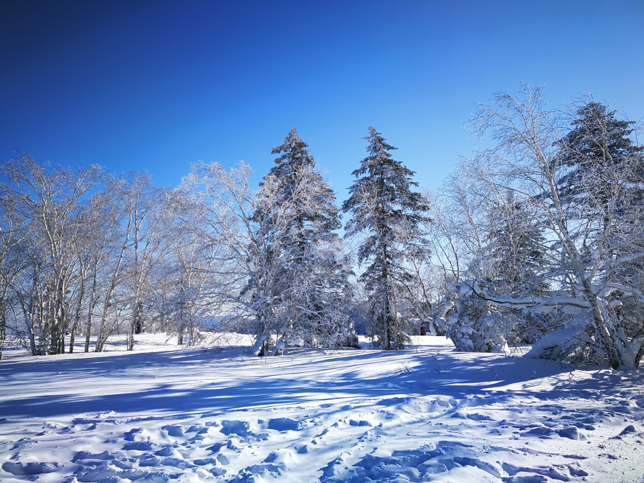 雪鄉自助遊攻略