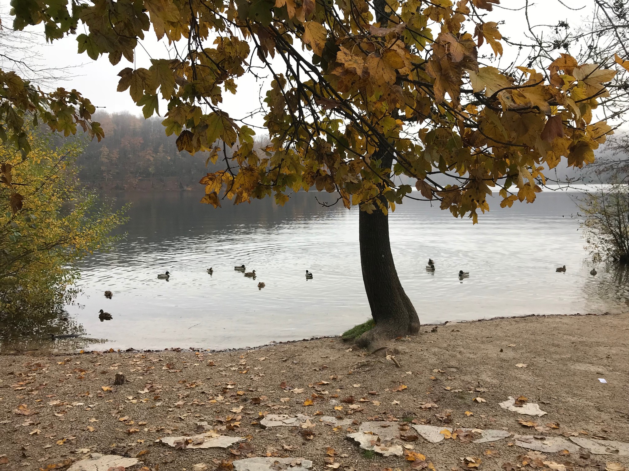 普利特維採湖群國家公園自助遊攻略