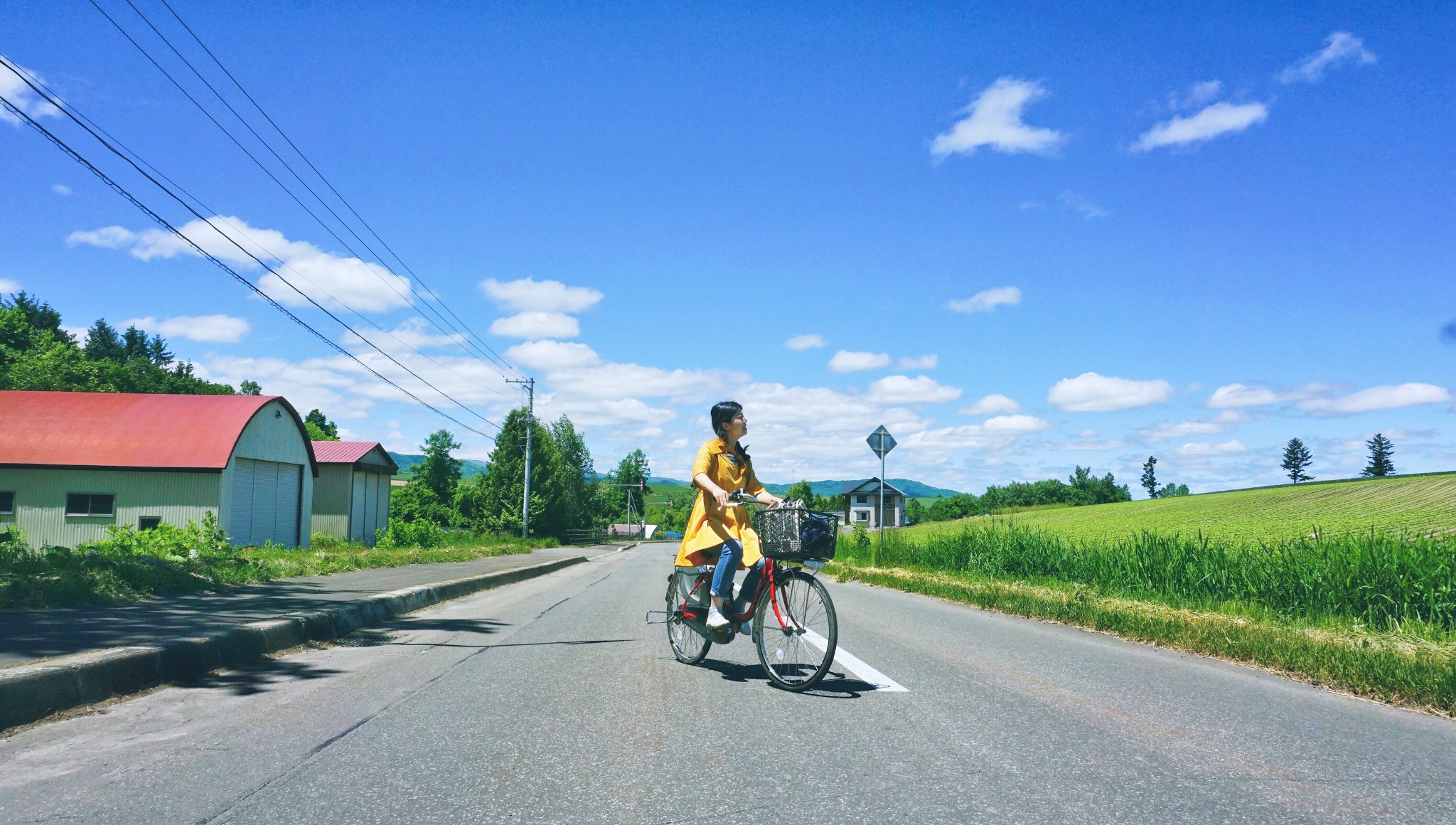 【北海道】山川湖海是你,夏日最浪漫的詩歌也是你(小樽-登別-美瑛