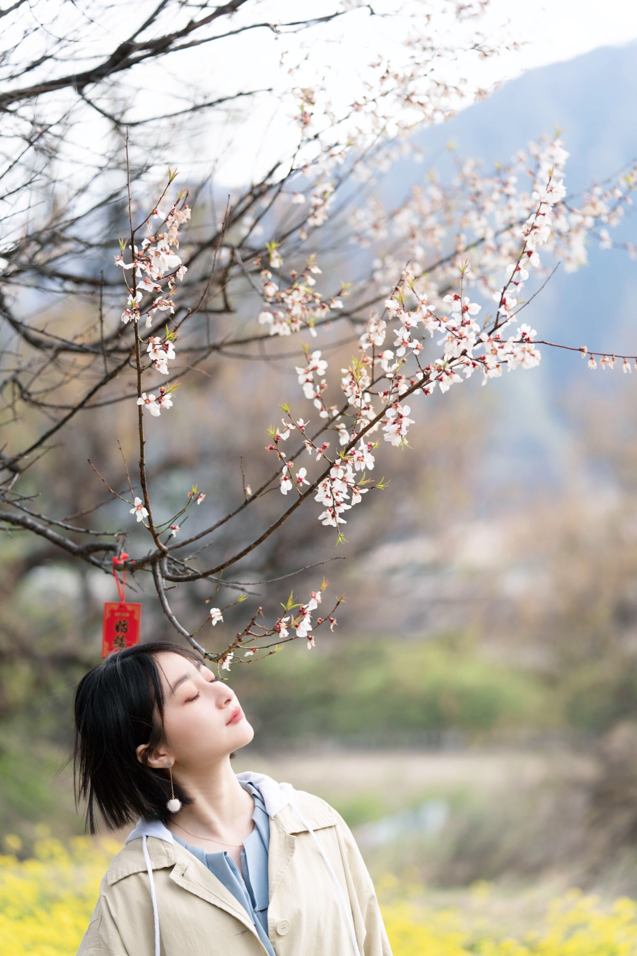 桃花飘漫天,少女心爆炸?